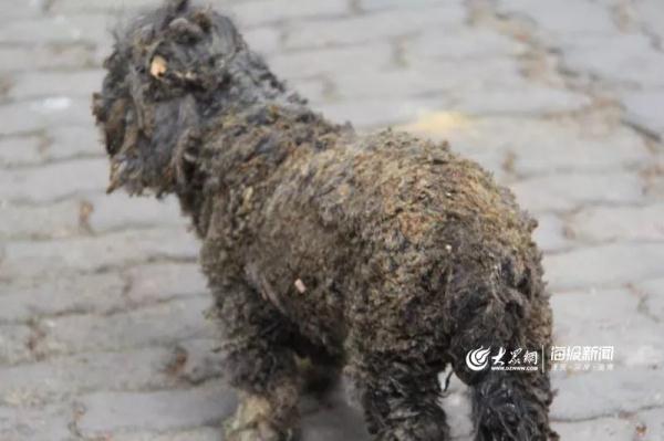 突發(fā)！青島一居民樓發(fā)生爆燃！已造1人死亡，7人受傷！3公里外有震感…