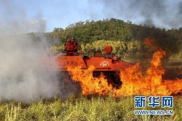 【動畫】森林草原防火“十不準(zhǔn)”“五不燒”！這些安全知識要牢記