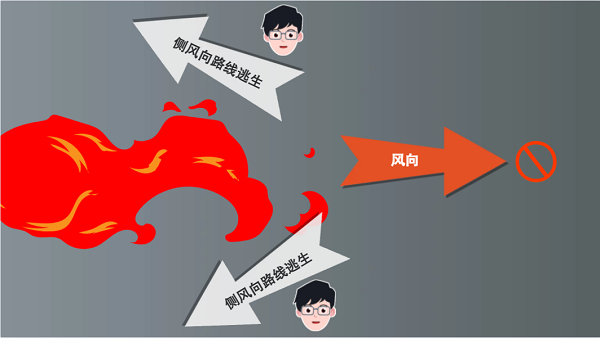 【動畫】森林草原防火“十不準(zhǔn)”“五不燒”！這些安全知識要牢記
